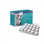 CVET NutriCareVet Stress Support Tabletten | Hond en Kat  