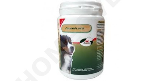 panacur giardia perros