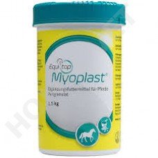 Equitop Myoplast voor spierstofwisseling en spieropbouw bij paarden