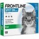 Frontline Kat