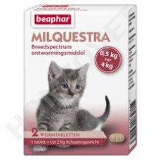 Beaphar Milquestra ontwormingsmiddel voor kittens en kleine katten