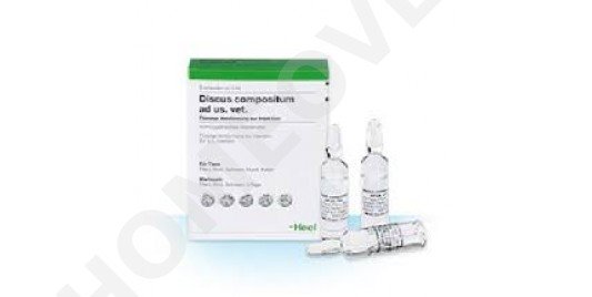 Spondylose