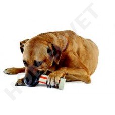 Petstages Beyond Bone - Kauwspeelgoed voor honden