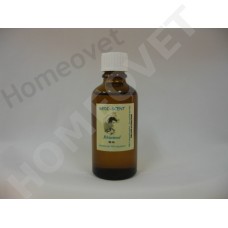 MediScent Eth. Rhininol Stoom - Olie