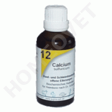 Schüssler Celzouten Nr.12 Calcium sulfuricum