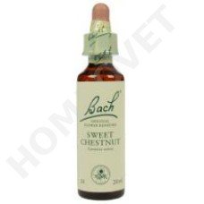 Bach Sweet Chestnut / Castanea sativa (Tamme kastanje)