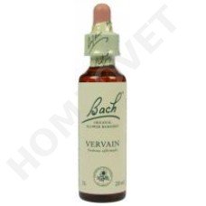 Bach Vervain / Verbena officinalis (IJzerhard)