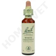 Bach White Chestnut