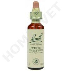 Bach White Chestnut