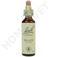 Bach Willow / Salix vitellina (Wilg)