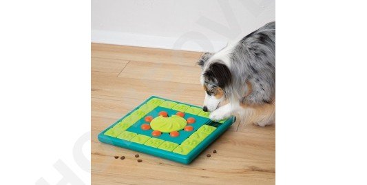 Nina Ottosson denkspelletjes hond