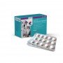 CVET NutriCareVet Stress Support Tabletten | Hond en Kat  