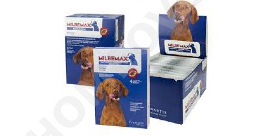 Ontworming Hond Ontworming Hond