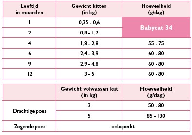 hoeveel eten kitten